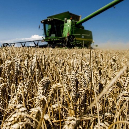 Сельскохозяйственная продукция