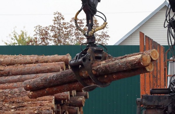 БУТБ рассчитывает в 2021 году начать торги для экспорта пиломатериалов в Египет