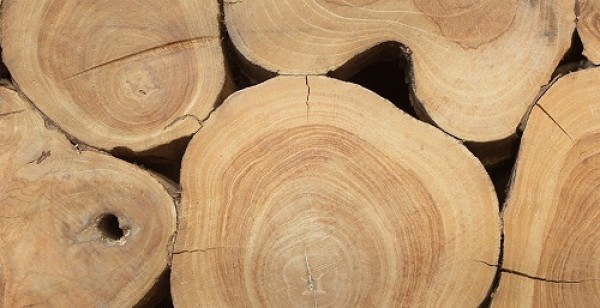 18-я Международная специализированная выставка «Лесдревтех-2018»