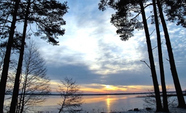 Оздоровительный комплекс «Сосновый Бор»: белорусская природа, которая лечит и тело, и душу