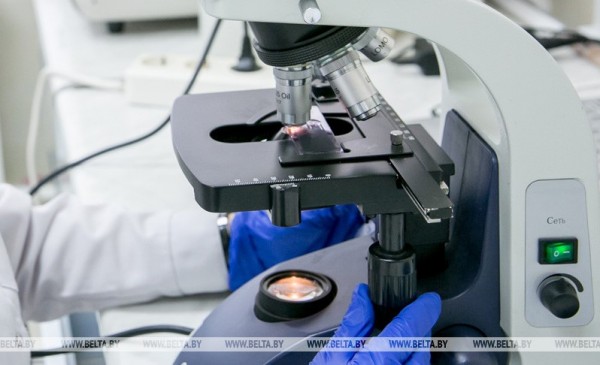 Белорусская национальная биотехнологическая корпорация рассчитывает ежегодно экспортировать продукцию на $300 млн