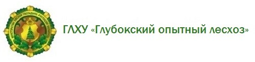 ГЛХУ «Глубокский опытный лесхоз»
