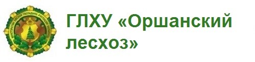 ГЛХУ «Оршанский лесхоз»